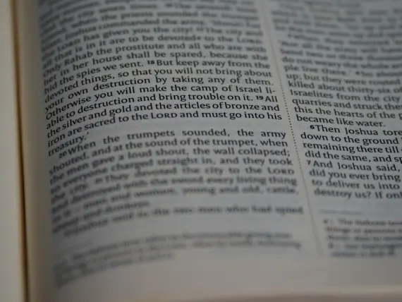 TopTally Casino Support